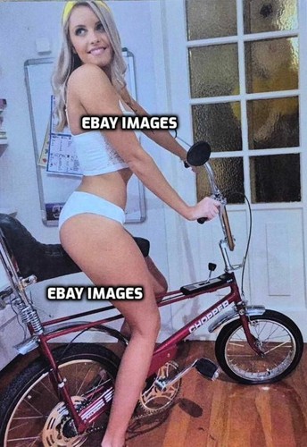 Raleigh chopper mk1 poster - raleigh,